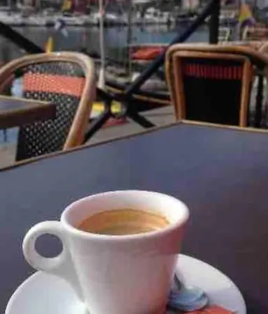 Une Orchidee A Honfleur